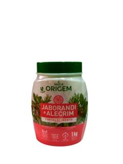 CREME ORIGEM 1KG 3EM1 JABORANDI ALECRIM